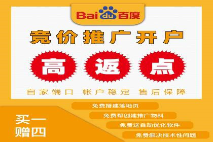 百度推广代运营案例：案例分享：打造行业领军品牌